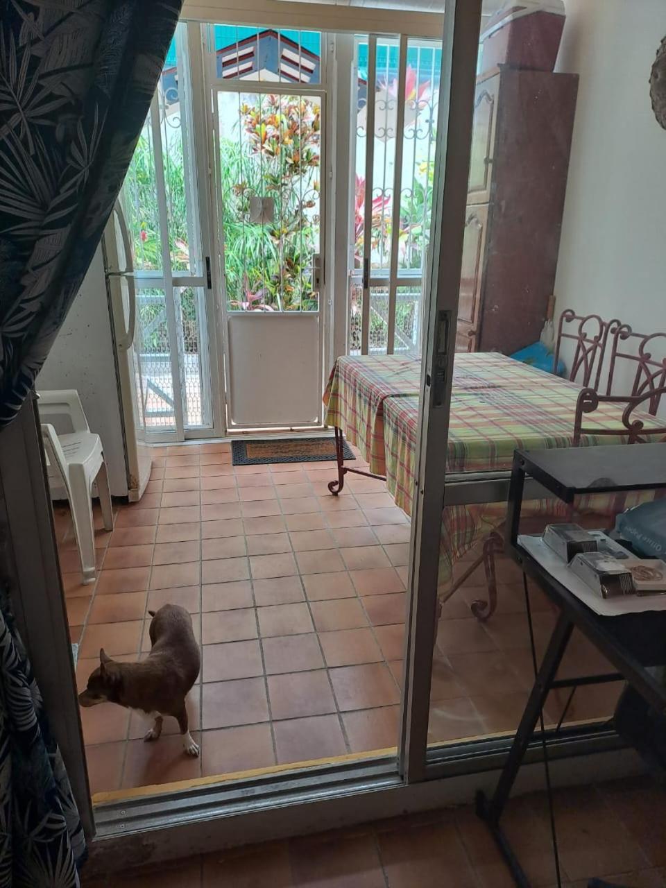 Appartement T2 Meuble Tout Confort Le Gosier  Eksteriør bilde